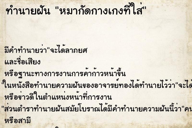 ทำนายฝัน หมากัดกางเกงที่ใส่ ทำนายฝัน หมากัดกางเกงที่ใส่