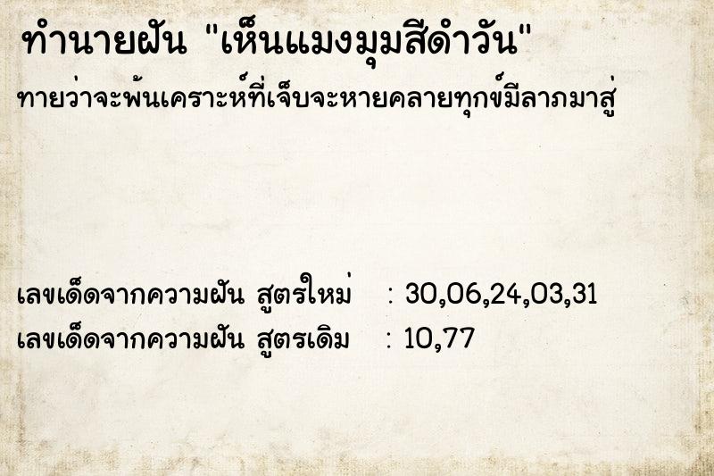 ทำนายฝันทำนายฝันเห็นแมงมุมสีดำวัน