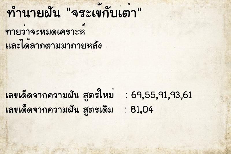ทำนายฝัน จระเข้กับเต่า ทำนายฝัน จระเข้กับเต่า
