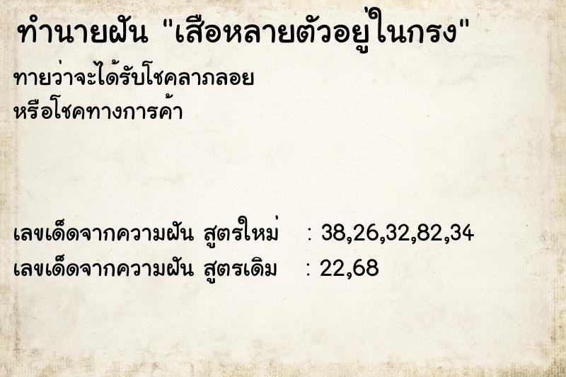 ทำนายฝันทำนายฝันเสือหลายตัวอยู่ในกรง