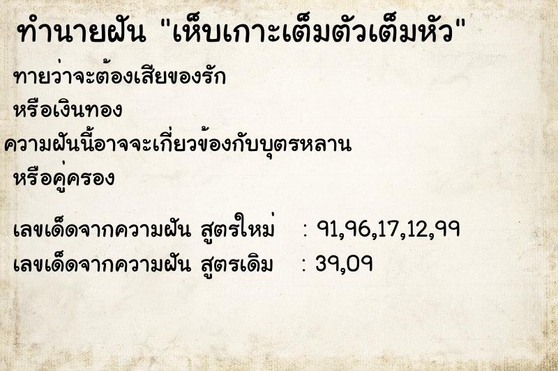 ทำนายฝันเห็บเกาะเต็มตัวเต็มหัว ทำนายฝันทำนายฝันเห็บเกาะเต็มตัวเต็มหัว