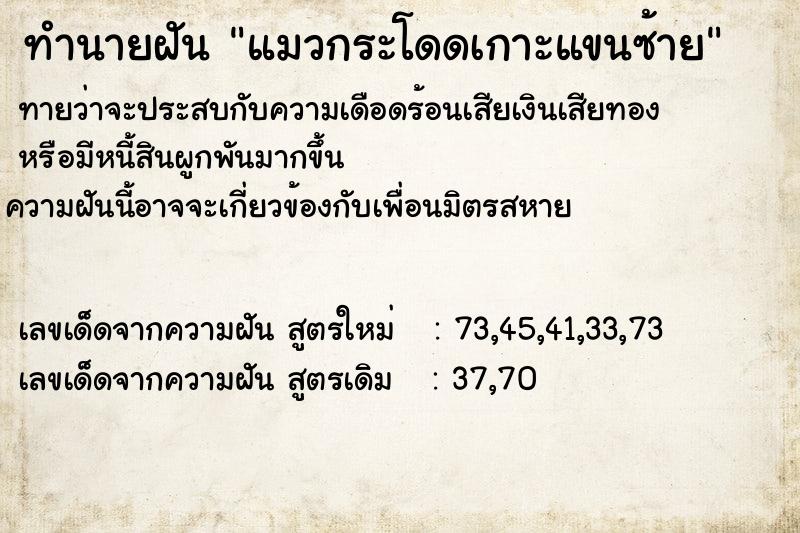 ทำนายฝันทำนายฝันแมวกระโดดเกาะแขนซ้าย