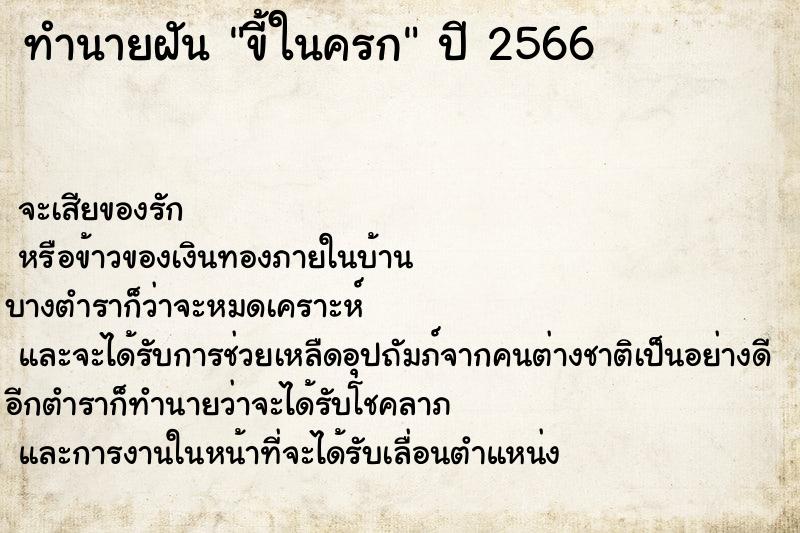 ทำนายฝันทำนายฝันขี้ในครก