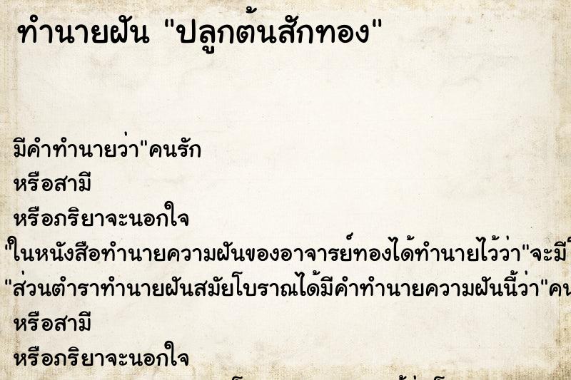 ทำนายฝัน ปลูกต้นสักทอง ทำนายฝัน ปลูกต้นสักทอง