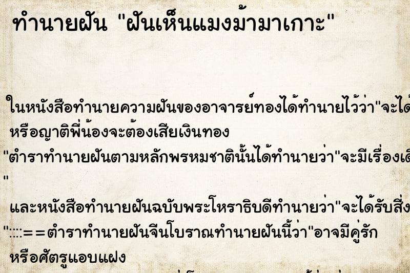 ทำนายฝัน ฝันเห็นแมงม้ามาเกาะ ทำนายฝัน ฝันเห็นแมงม้ามาเกาะ