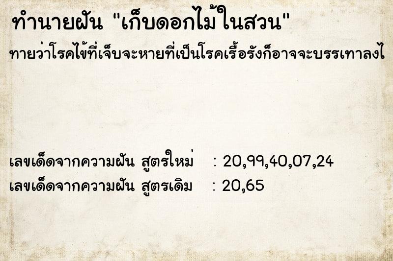 ทำนายฝันเก็บดอกไม้ในสวน ทำนายฝันทำนายฝันเก็บดอกไม้ในสวน