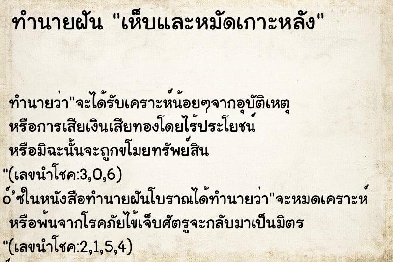 ทำนายฝันทำนายฝันเห็บและหมัดเกาะหลัง