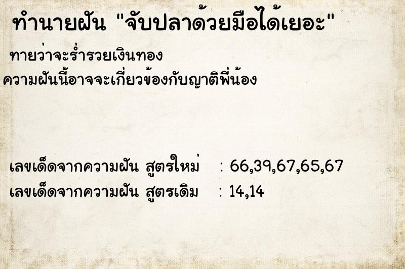 ทำนายฝันจับปลาด้วยมือได้เยอะ ทำนายฝันทำนายฝันจับปลาด้วยมือได้เยอะ