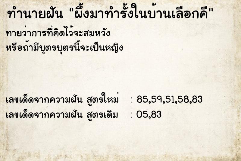 ทำนายฝันผึ้งมาทำรั้งในบ้านเลือกคื ทำนายฝันทำนายฝันผึ้งมาทำรั้งในบ้านเลือกคื