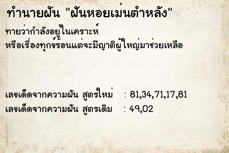 ทำนายฝันทำนายฝันฝันหอยเม่นตำหลัง