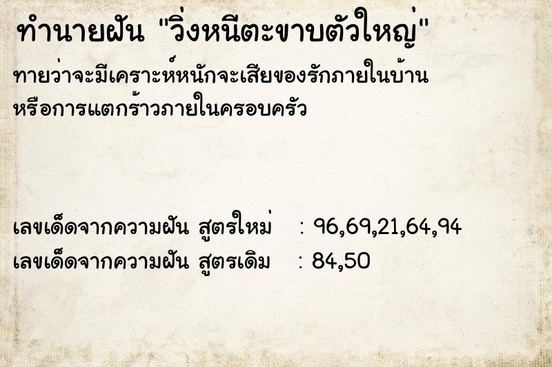 ทำนายฝันวิ่งหนีตะขาบตัวใหญ่ ทำนายฝันทำนายฝันวิ่งหนีตะขาบตัวใหญ่