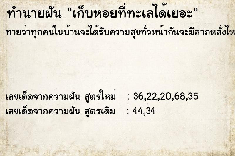 ทำนายฝันเก็บหอยที่ทะเลได้เยอะ ทำนายฝันทำนายฝันเก็บหอยที่ทะเลได้เยอะ