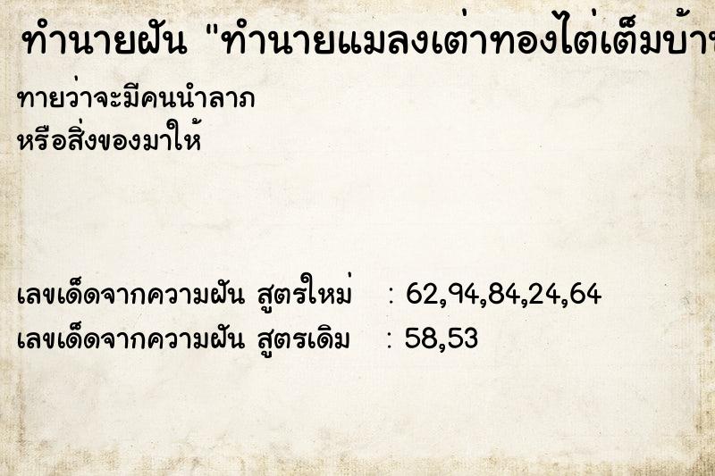 ทำนายฝันทำนายฝันทำนายแมลงเต่าทองไต่เต็มบ้าน