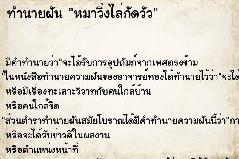 ทำนายฝันหมาวิ่งไล่กัดวัว ทำนายฝันทำนายฝันหมาวิ่งไล่กัดวัว