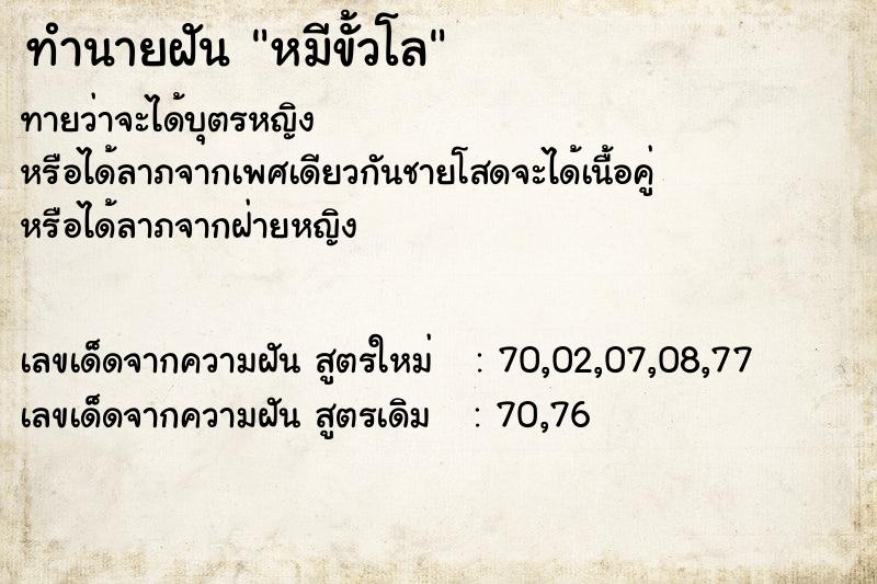 ทำนายฝันหมีขั้วโล ทำนายฝันทำนายฝันหมีขั้วโล
