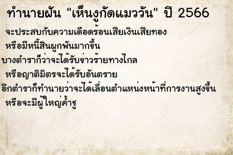 ทำนายฝันเห็นงูกัดแมววัน ทำนายฝันทำนายฝันเห็นงูกัดแมววัน