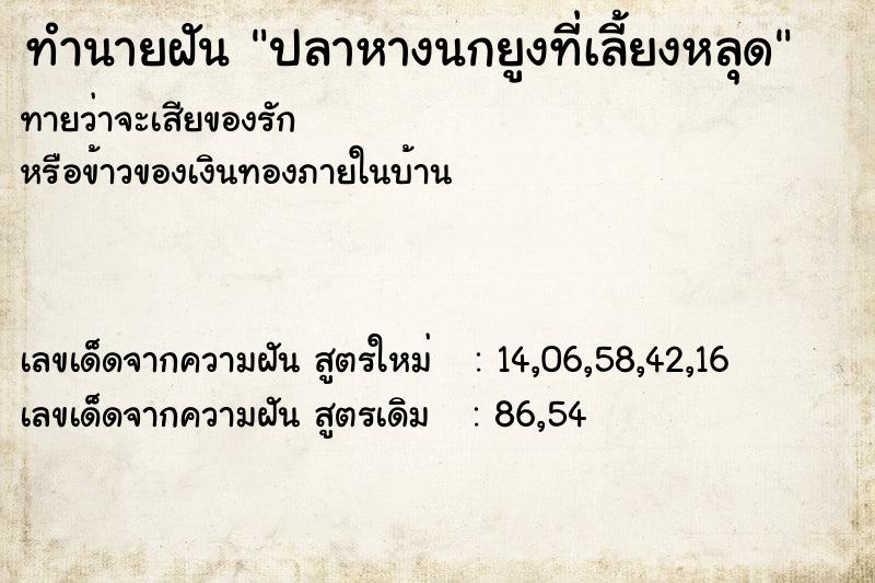 ทำนายฝันทำนายฝันปลาหางนกยูงที่เลี้ยงหลุด