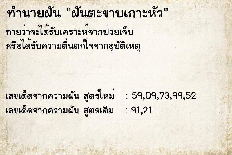 ทำนายฝันฝันตะขาบเกาะหัว ทำนายฝันทำนายฝันฝันตะขาบเกาะหัว