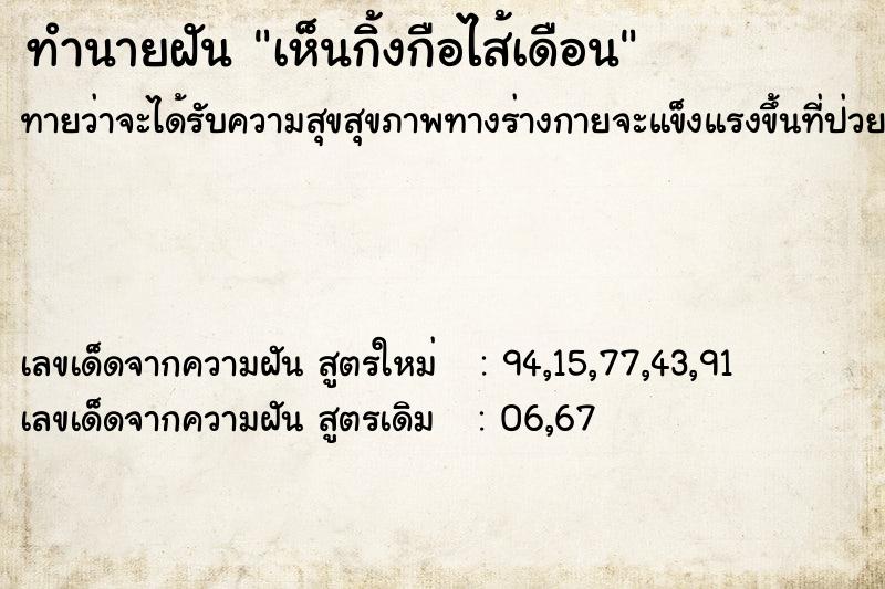 ทำนายฝัน เห็นกิ้งกือไส้เดือน ทำนายฝัน เห็นกิ้งกือไส้เดือน