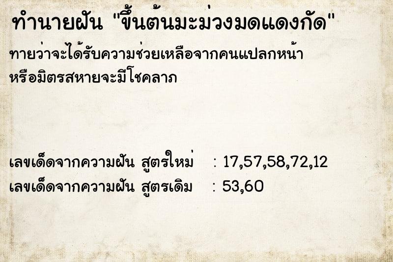 ทำนายฝันทำนายฝันขึ้นต้นมะม่วงมดแดงกัด
