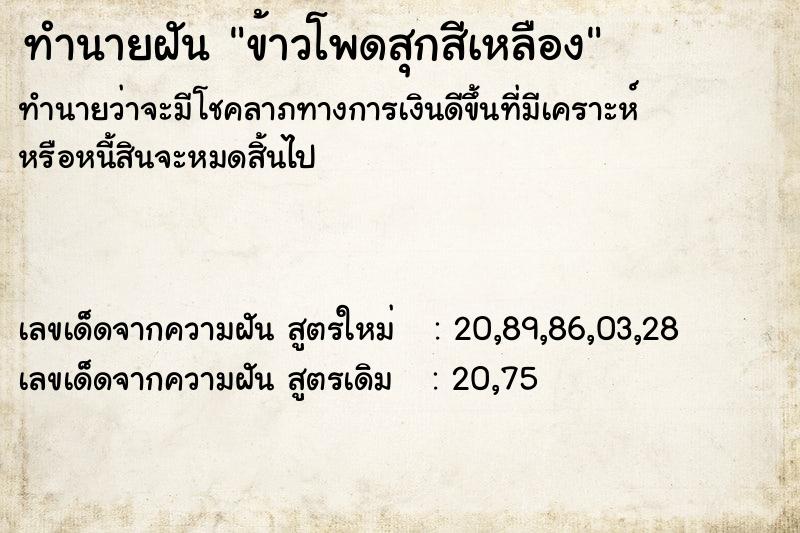 ทำนายฝัน ข้าวโพดสุกสีเหลือง ทำนายฝัน ข้าวโพดสุกสีเหลือง