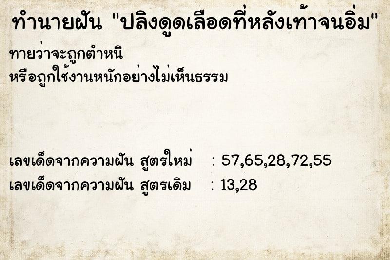 ทำนายฝัน ปลิงดูดเลือดที่หลังเท้าจนอิ่ม ทำนายฝัน ปลิงดูดเลือดที่หลังเท้าจนอิ่ม