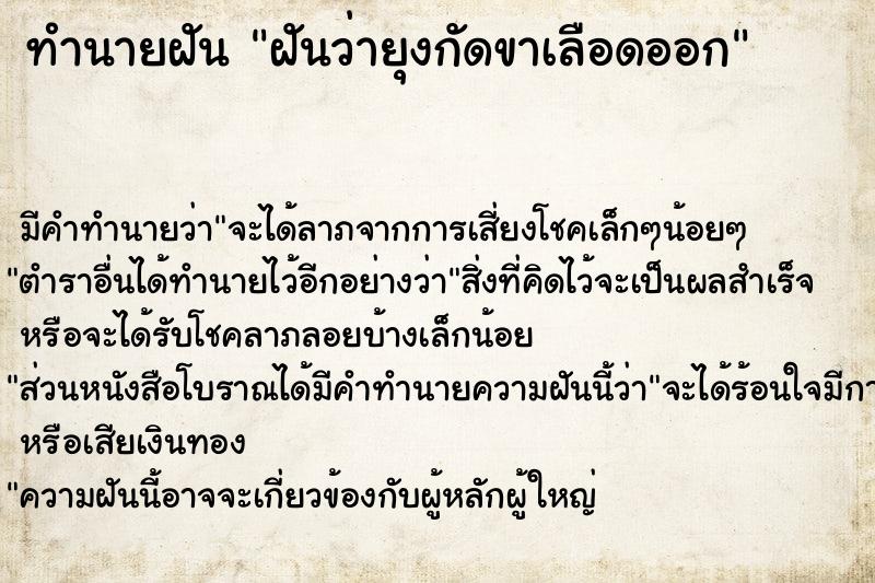 ทำนายฝัน ฝันว่ายุงกัดขาเลือดออก ตำราโบราณ แม่นที่สุดในโลก