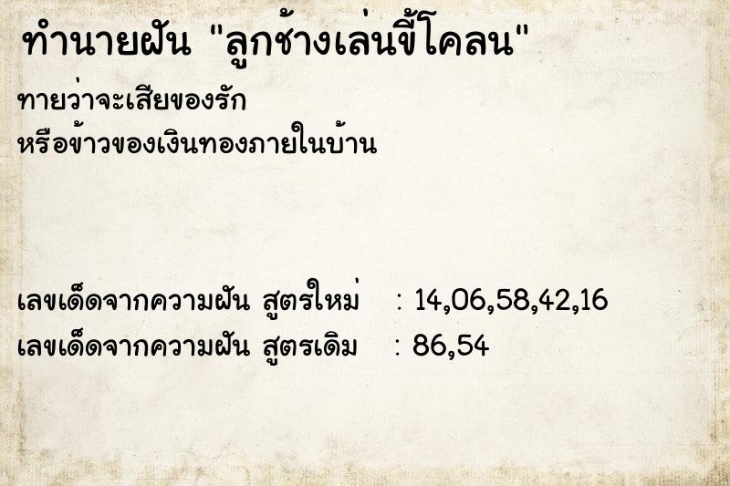 ทำนายฝันลูกช้างเล่นขี้โคลน ทำนายฝันทำนายฝันลูกช้างเล่นขี้โคลน