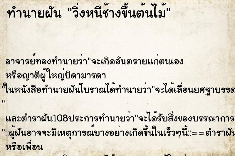 ทำนายฝัน วิ่งหนีช้างขึ้นต้นไม้ ตำราโบราณ แม่นที่สุดในโลก