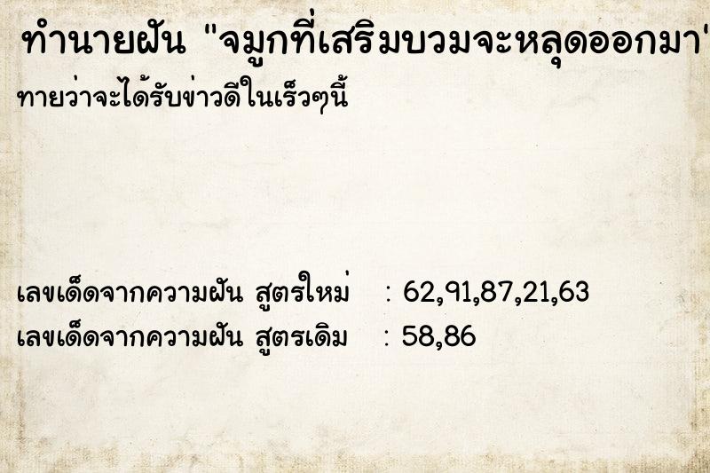 ทำนายฝันจมูกที่เสริมบวมจะหลุดออกมา ทำนายฝันทำนายฝันจมูกที่เสริมบวมจะหลุดออกมา