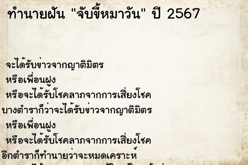 ทำนายฝันจับขี้หมาวัน ทำนายฝันทำนายฝันจับขี้หมาวัน