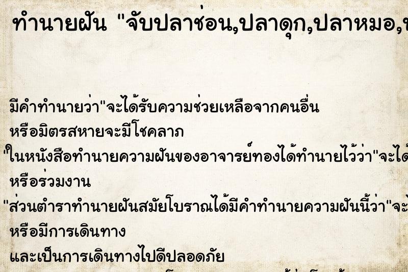 ทำนายฝัน จับปลาช่อน,ปลาดุก,ปลาหมอ,ปลาตะเพียน ทำนายฝัน จับปลาช่อน,ปลาดุก,ปลาหมอ,ปลาตะเพียน