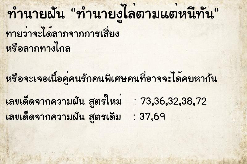 ทำนายฝันทำนายงูไล่ตามแต่หนีทัน ทำนายฝันทำนายฝันทำนายงูไล่ตามแต่หนีทัน