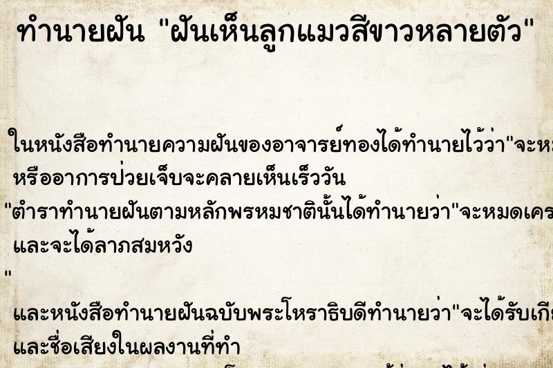 ทำนายฝันฝันเห็นลูกแมวสีขาวหลายตัว ทำนายฝันทำนายฝันฝันเห็นลูกแมวสีขาวหลายตัว