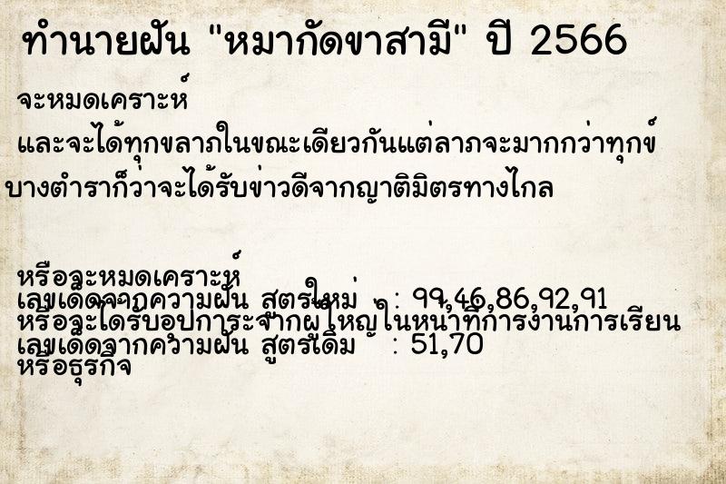 ทำนายฝันหมากัดขาสามี ทำนายฝันทำนายฝันหมากัดขาสามี