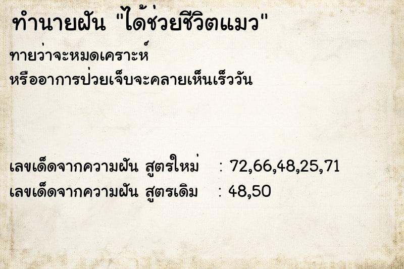 ทำนายฝัน ได้ช่วยชีวิตแมว ทำนายฝัน ได้ช่วยชีวิตแมว