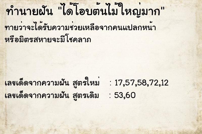 ทำนายฝันทำนายฝันได้โอบต้นไม้ใหญ่มาก