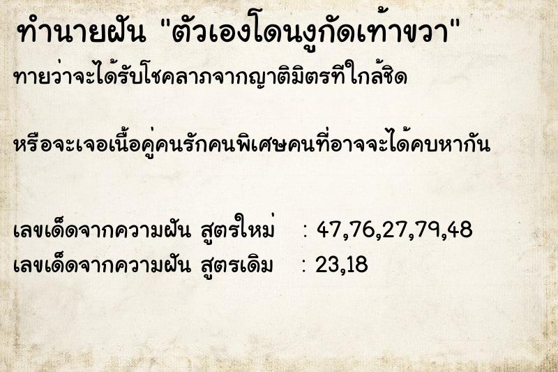 ทำนายฝันทำนายฝันตัวเองโดนงูกัดเท้าขวา