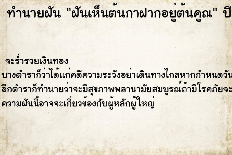 ทำนายฝันฝันเห็นต้นกาฝากอยู่ต้นคูณ ทำนายฝันทำนายฝันฝันเห็นต้นกาฝากอยู่ต้นคูณ