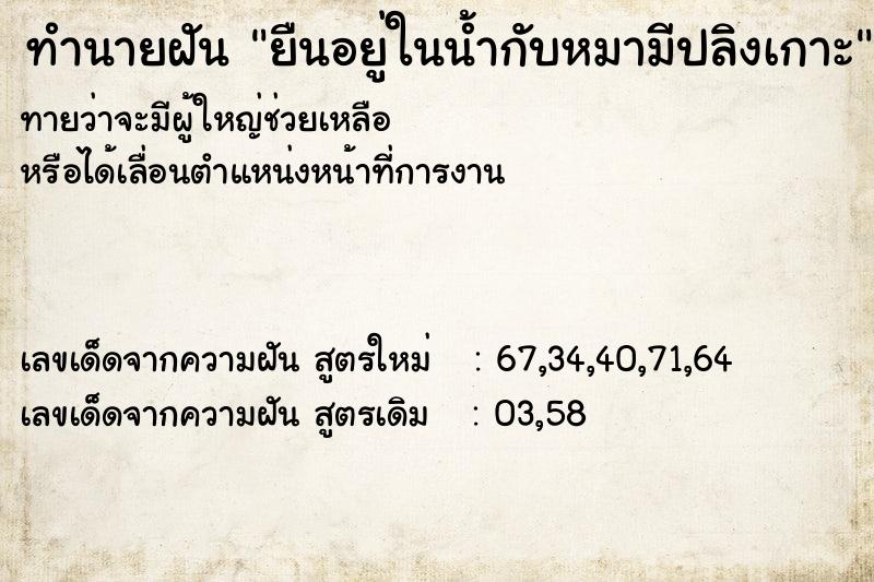 ทำนายฝันยืนอยู่ในน้ำกับหมามีปลิงเกาะ ทำนายฝันทำนายฝันยืนอยู่ในน้ำกับหมามีปลิงเกาะ