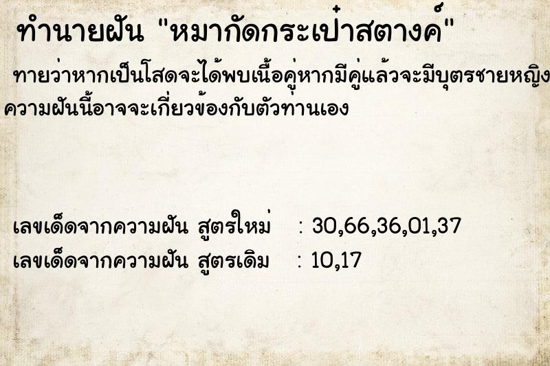 ทำนายฝันทำนายฝันหมากัดกระเป๋าสตางค์