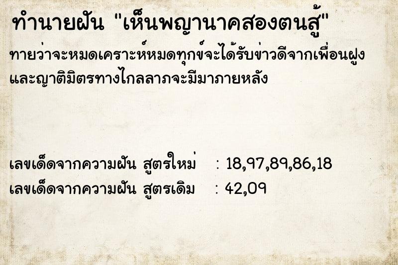 ทำนายฝันเห็นพญานาคสองตนสู้ ทำนายฝันทำนายฝันเห็นพญานาคสองตนสู้