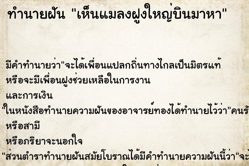 ทำนายฝัน เห็นแมลงฝูงใหญ่บินมาหา ทำนายฝัน เห็นแมลงฝูงใหญ่บินมาหา