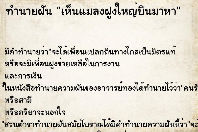 ทำนายฝัน เห็นแมลงฝูงใหญ่บินมาหา ตำราโบราณ แม่นที่สุดในโลก