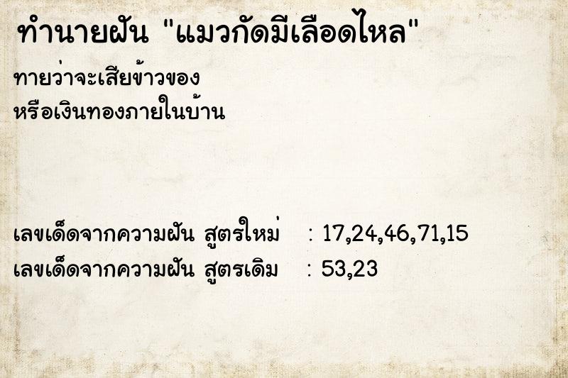 ทำนายฝันทำนายฝันแมวกัดมีเลือดไหล