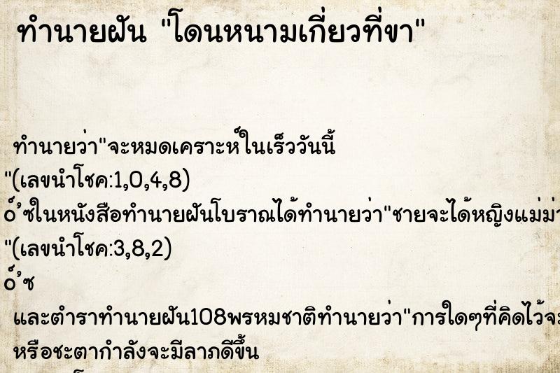 ทำนายฝันทำนายฝันโดนหนามเกี่ยวที่ขา