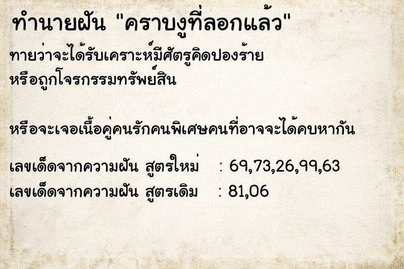 ทำนายฝันทำนายฝันคราบงูที่ลอกแล้ว