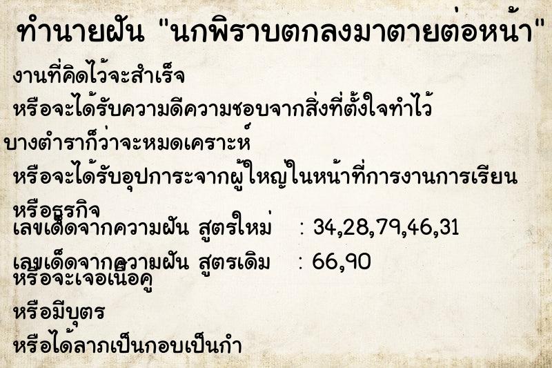 ทำนายฝันทำนายฝันนกพิราบตกลงมาตายต่อหน้า