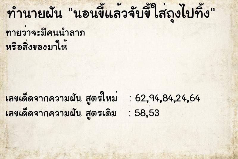 ทำนายฝันทำนายฝันนอนขี้แล้วจับขี้ใส่ถุงไปทิ้ง