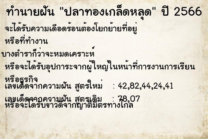 ทำนายฝัน ปลาทองเกล็ดหลุด